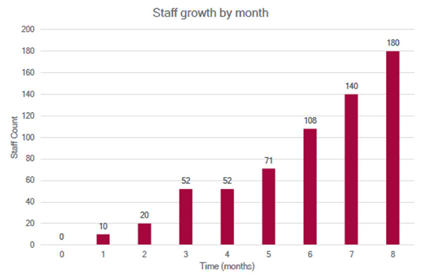 vee-technologies-whitepapaers-staff-growth-by-month